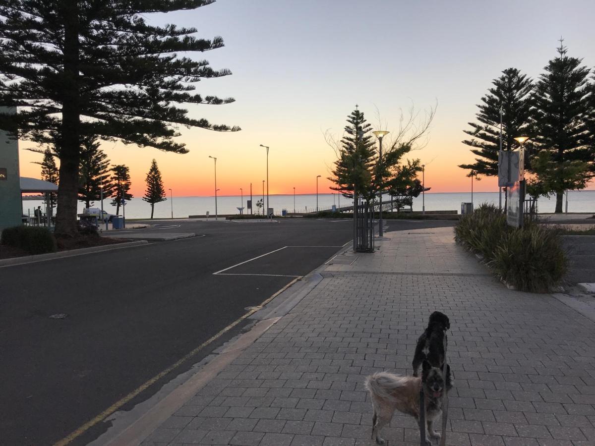 Big4 Ceduna Tourist Park Exterior foto
